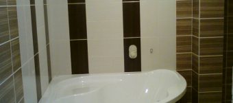 obklad-Zebrano 20x40 cm (2)